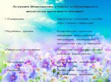 Проектная деятельность на уроках русского языка и литературы Слайд: 5