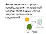 Фотосинтез – это процесс преобразования поглощённой энергии света в химическую энергию органических соединений.