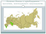 Регионы России с преобладанием населения, исповедующего мусульманство.