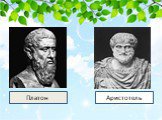 Платон Аристотель