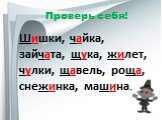 Проверь себя! Шишки, чайка, зайчата, щука, жилет, чулки, щавель, роща, снежинка, машина.