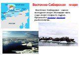 Восточно-Сибирское море. Восто́чно-Сиби́рское - самое холодное море. Бо́льшую часть года море покрыто льдом. Промысел моржа, тюленя, рыболовство.