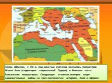 Таким образом, к XVI в. под властью султанов оказались полуостров Малая Азия (территория современной Турции) и большая часть Балканского полуострова. Следующие столетия империя ведет завоевательные войны на трех континентах: в Европе, Азии и Африке.