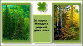 20 марта - Международный день леса