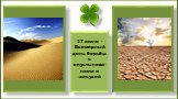 17 июня - Всемирный день борьбы с опустынива-нием и засухой