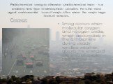 Photochemical smog or otherwise photochemical haze - is a relatively new type of atmospheric pollution. He is the most urgent environmental issue of major cities, where the major large fleets of vehicles. Smog occurs when molecular oxygen and nitrogen oxides, which accumulate in the atmosphere durin