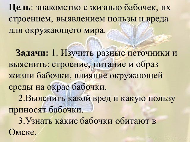 Окружающий мир 2 класс "Удивительный мир бабочек"-презентация, как сделать?