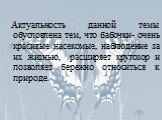 Актуальность данной темы обусловлена тем, что бабочки- очень красивые насекомые, наблюдение за их жизнью, расширяет кругозор и позволяет бережно относиться к природе.