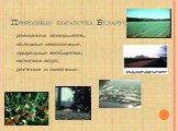 Природные богатства Беларуси. равнинная поверхность; полезные ископаемые; природные сообщества; питьевая вода; растения и животные.