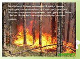 Ежегодно в России возникает 30 тысяч лесных пожаров, в огне погибает до 2 млн. гектаров леса. На восстановление сгоревшего леса требуется более 100 лет. Более 80% пожаров возникает по вине людей.