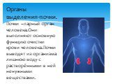 Органы выделения-почки. Почки –парный орган человека.Они выполняют основную функцию очистки крови человека.Почки выводят из организма лишнюю воду с растворёнными в ней ненужными веществами.