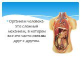 Организм человека-это сложный механизм, в котором все его части связаны друг с другом.