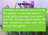 SPRING. Sometimes it’s cold and rainy in spring. The weather is sunny and warm in spring. Birds come back from warm countries. Spring is a green season. We wear sweatshirts, shoes, coats, skirts, dresses, hats, gloves.