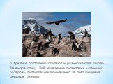 В Арктике постоянно обитают и размножаются около 30 видов птиц . Всё население гигантских «птичьих базаров» питается исключительно за счёт пищевых ресурсов океана.