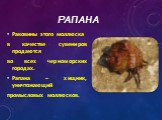Рапана. Раковины этого моллюска в качестве сувениров продаются во всех черноморских городах. Рапана – хищник, уничтожающий промысловых моллюсков.