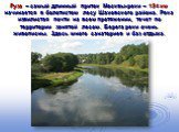 Руза – самый длинный приток Москвы-реки – 154 км начинается в болотистом лесу Шаховского района. Река извилистая почти на всем протяжении, течет по территории занятой лесом. Берега реки очень живописны. Здесь много санаториев и баз отдыха.
