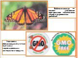 Бабочка-монарх — символ движения противников генетически модифицированных растений. Маркировки, обозначающие отсутствие генетически модифицированных компонентов в продукте.