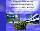 Достопримечательности: Сочинский океанариум «Sochi Discovery World Aquarium». Океанариум с акриловым тоннелем длиной 44 метра. Расположен в Адлерском районе города Сочи, на территории Курортного городка.