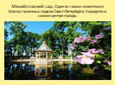 Михайловский сад. Один из самых известных и благоустроенных парков Санкт-Петербурга. Находится в самом центре города.