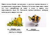 Масло оливы богато витаминами и другими органическими и минеральными веществами. Поэтому из оливы выжимают масло (A) или употребляют её части в пищу в сыром или маринованном виде (Б). Запишите органы растения, которые используют в каждом случае.  . Б.____________. плоды или листья и плоды