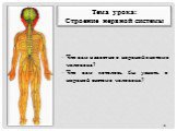 Тема урока: Строение нервной системы. Что вам известно о нервной системе человека? Что вам хотелось бы узнать о нервной системе человека?