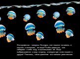 Эти существа – медузы. На ощупь они похожи на кисель и состоят, в основном, из воды! Чтобы двигаться, они набирают в себя воду и выплевывают её. Вода выбрасывается в одну сторону, а медуза при этом плывет в другую! Помнишь, такое движение мы назвали реактивным.