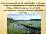 Много озер встречается в поймах Оки и Москва- реки. Это запрудные и остаточные (старицы) озера, образовавшиеся в результате перемещения русла рек. Все они небольшого размера.