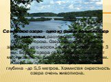Сенежское озеро - одно из самых больших озер Подмосковья, расположено близ города Солнечногорска. Озеро вытянуто с северо-запада на юго-восток на 4,5 км, ширина его 3 км. Берега озера сильно изрезаны, имеют много заливов. Длина береговой линии 16 км. Озеро неглубокое 2-3 метра, наибольшая глубина –д