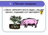 V. «Тёмная лошадка». Какую математическую задачу решает свинья, подрывая куст картофеля