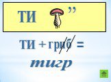 ТИ гриб тигр