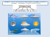 Атмосферные осадки — вода в жидком или твердом состоянии, выпадающая из облаков или осаждающаяся непосредственно из воздуха на поверхность Земли