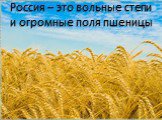 Россия – это вольные степи и огромные поля пшеницы