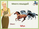 Много лошадей Табун