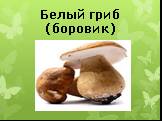 Белый гриб (боровик)