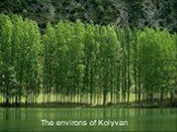 The environs of Kolyvan
