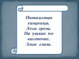 Пятнистая хищница, Леса гроза, На ушках по кисточке, Злые глаза.