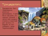 Трицератопс. Трицератопс был травоядным, рогатым динозавром. У него было три рога. По одному (длиной 1 метр) над каждым глазом и короткий рог на носу. В борьбе он мог победить даже Тираннозавра!