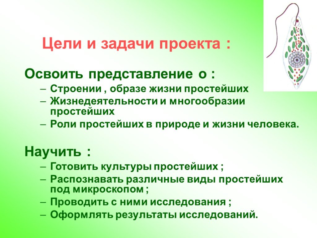 Образ жизни и строение. Цели проекта по биологии. Задачи проекта по биологии. Цели и задачи проекта по биологии. Жизнедеятельность простейших.