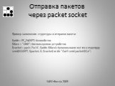 Пример заполнения структуры и отправки пакета: $addr = PF_PACKET; #семейство $iface = "eth0"; #используемое устройство $socket = pack ('Sa14', $addr, $iface); #упаковываем все это в структуру send(SOCKET, $packet, 0, $socket) or die "Can't send packet:$!\n";