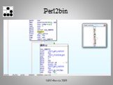 Perl2bin