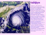 Тайфуны - атмосферные тропические вихри, диаметра 300-400км, достигающие силы урагана. Это наиболее опасное и разрушительное природное явление на нашей планете. Тайфун представляет собой мощный атмосферный вихрь с пониженным атмосферным давлением в середине. Поэтому в тайфуне происходит движение воз
