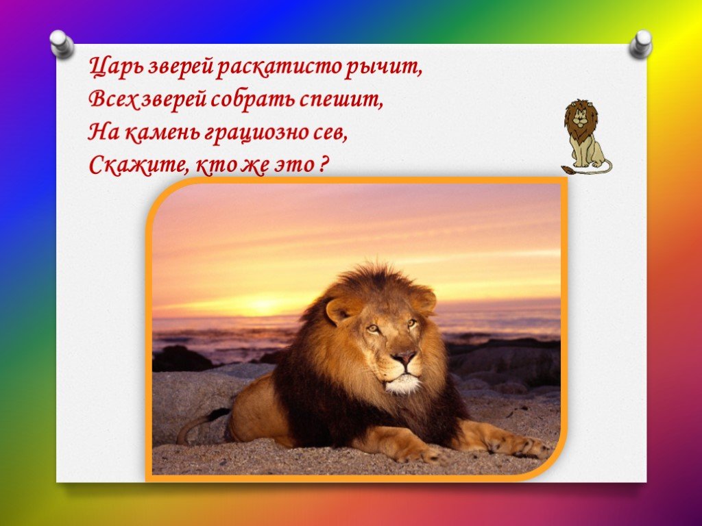 Загадка лев. Царь зверей раскатисто рычит. Загадка про Льва. Загадка про царя зверей. Ллевев загадки для детей.