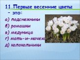 11.Первые весенние цветы – это: а) подснежники б) ромашки в) медуница г) мать-и-мачеха д) колокольчики