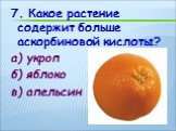 7. Какое растение содержит больше аскорбиновой кислоты? а) укроп б) яблоко в) апельсин
