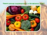 Какие овощи выращивают в Алтайском крае?