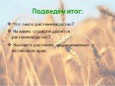 Подведём итог: Что такое растениеводство? На какие отрасли делится растениеводство? Назовите растения, выращиваемые в Алтайском крае.