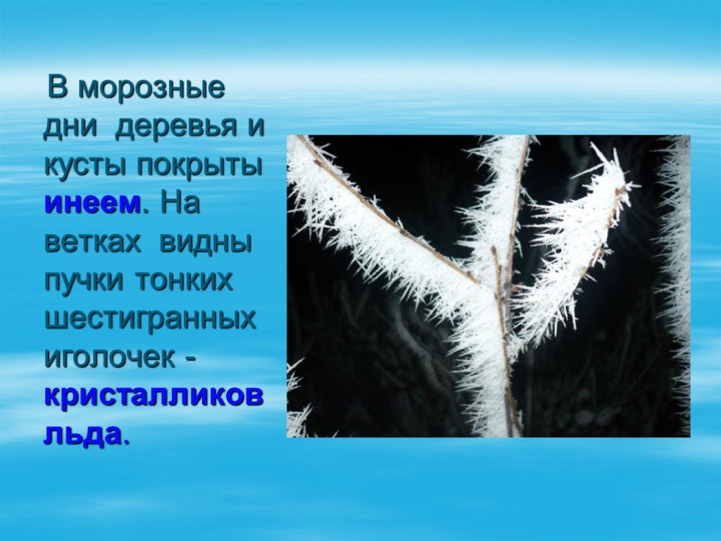 Они паутинками спустились на землю и хрусталики инея тотчас вспыхнули холодным огнем схема