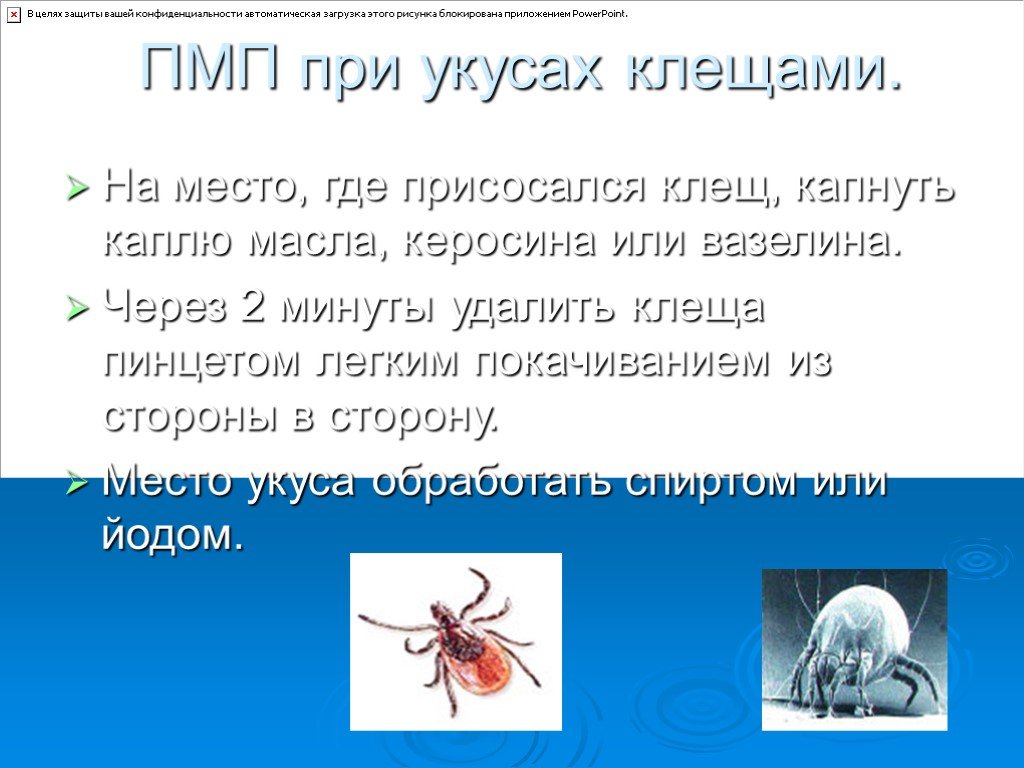 Обж 6 класс укусы насекомых и защита от них презентация