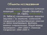 Объекты исследования. Исследовалось современное состояние популяций беркута (Aquila chrysaetus), степного орла (A. rapax), могильника (A. heliaca); взаимоотношения пернатых хищников с их жертвами; особенности гнездования и распространения; влияние на орлов лимитирующих факторов, включая антропогенны