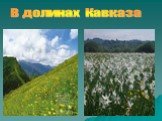 В долинах Кавказа